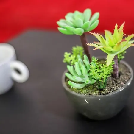 Lejlighed Spinola Bay Sea,restaurants & Nightlife *